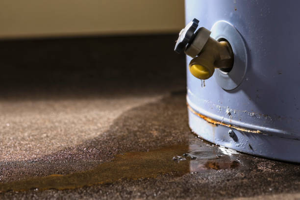 Best Flooded house restoration  in Trent Woods, NC