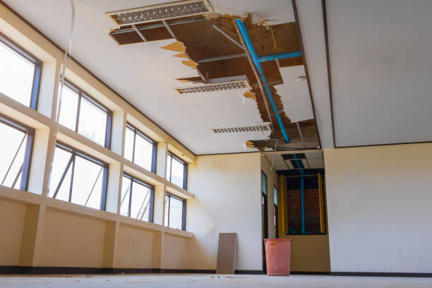 Best Sewage cleanup and water damage restoration  in Trent Woods, NC