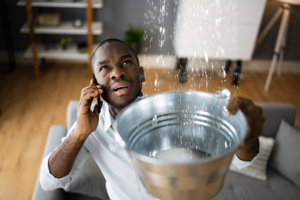 Best Water damage restoration near me  in Trent Woods, NC