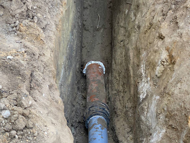 Best Flood damage cleanup  in Trent Woods, NC