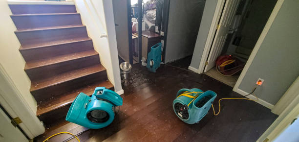Best Water damage restoration process  in Trent Woods, NC