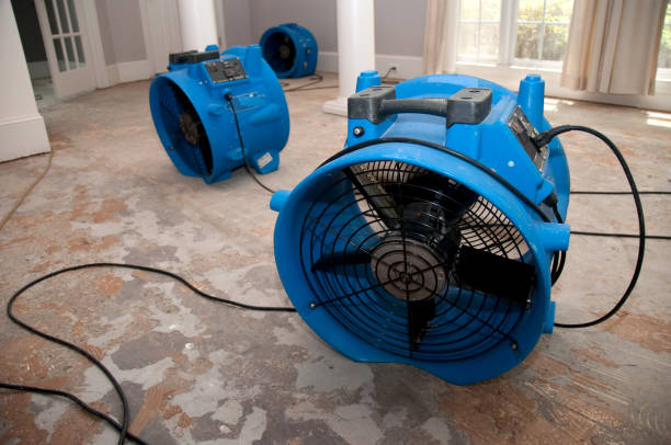 Best Water damage restoration specialists  in Trent Woods, NC