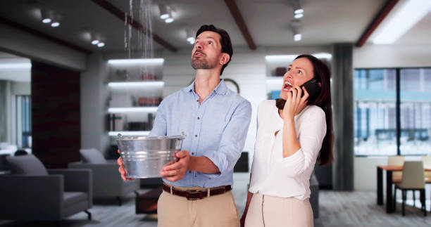 Best Water damage contractors near me  in Trent Woods, NC