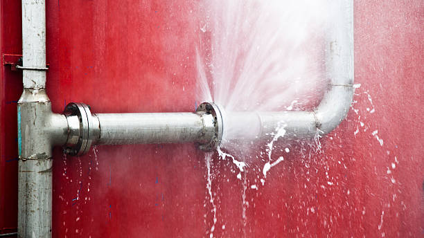 Best Flood damage cleanup  in Trent Woods, NC